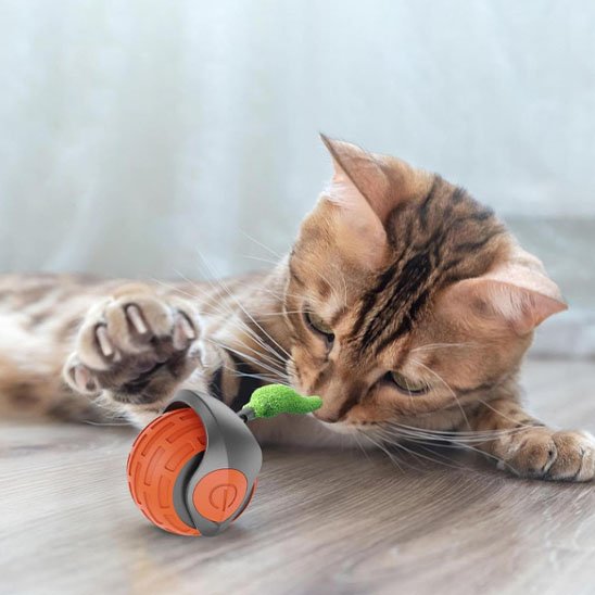 Jouet Chat interactif rouge