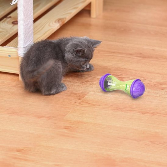 Jouet Chat