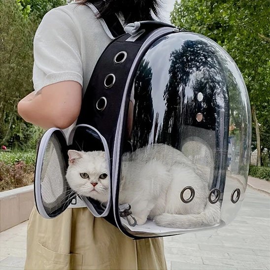 Sac de transport Chat