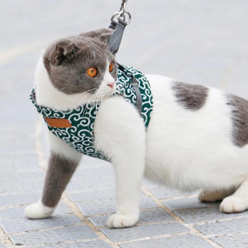 EasyWalk™ | Harnais pour Chat - {{ CHAT & CIE }}