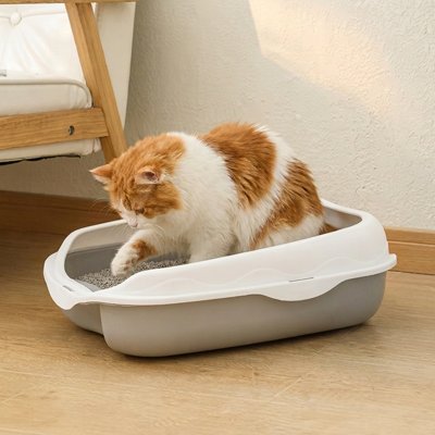 Bac à litière Chat