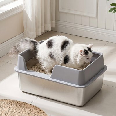 Bac à litière Chat