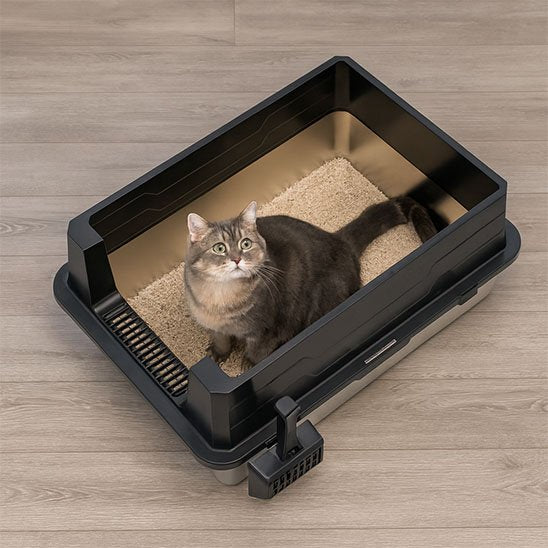 Bac à litière Chat
