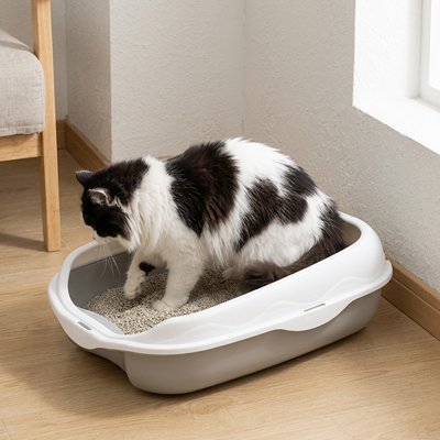 Bac à litière Chat