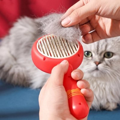 Brosse pour Chat