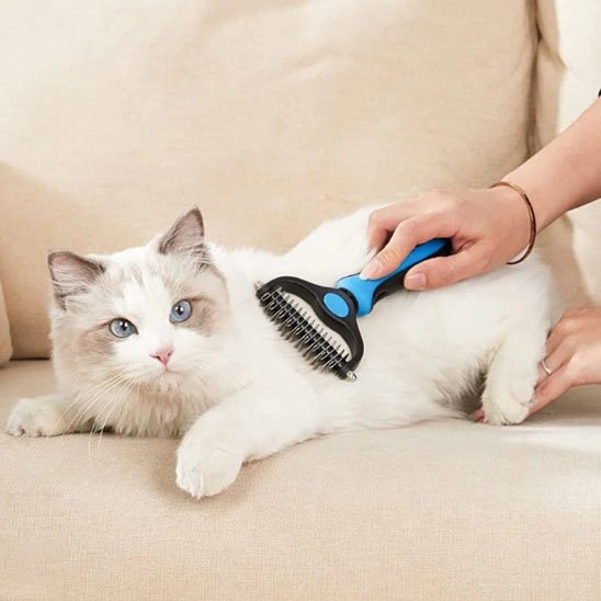 Brosse pour Chat