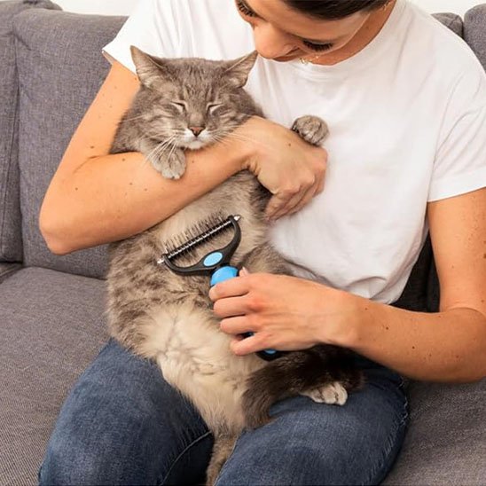 Brosse pour Chat
