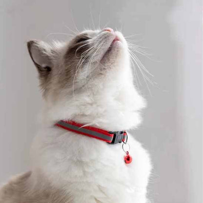 Collier Chat