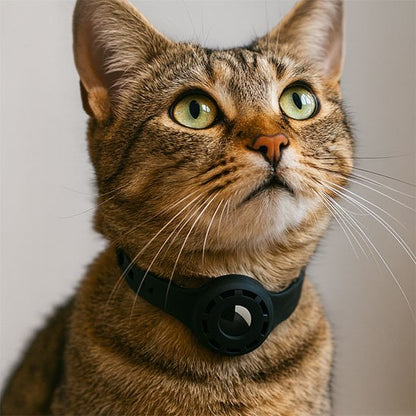 Collier GPS Chat