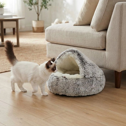 Coussin à Chat