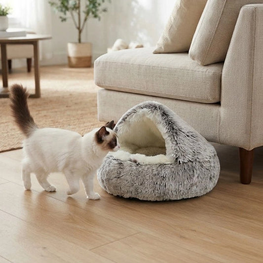 Coussin à Chat