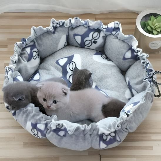 Coussin Chat Gris 