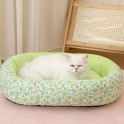 Coussin pour Chat Vert
