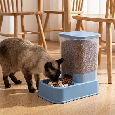 Distributeur de croquettes pour Chat