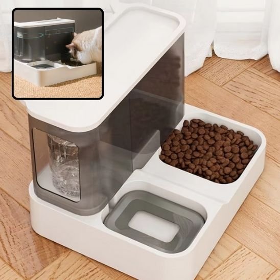 Distributeur de croquettes pour Chat
