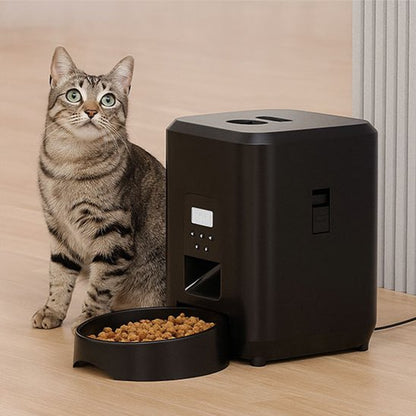 Distributeur de croquettes pour Chat