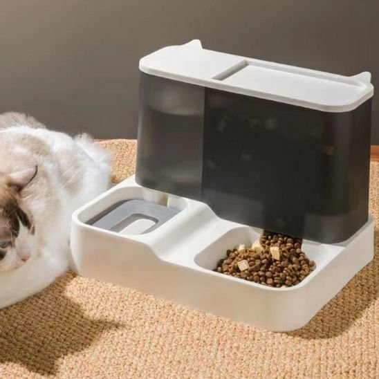 Distributeur de croquettes pour Chat