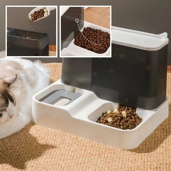 Distributeur de croquettes pour Chat