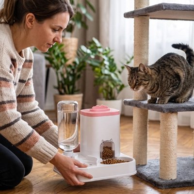 Distributeur de croquettes pour Chat