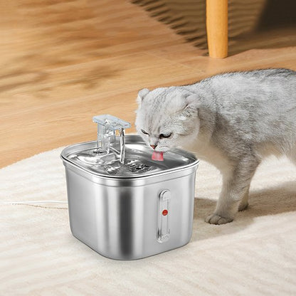 Fontaine a eau Chat