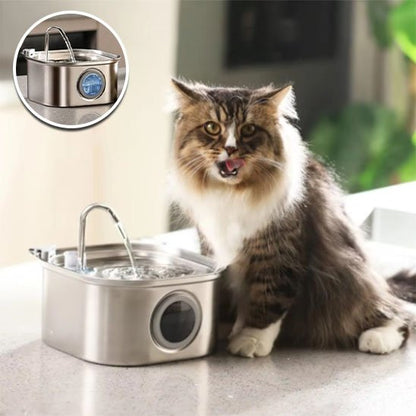 Fontaine a eau Chat