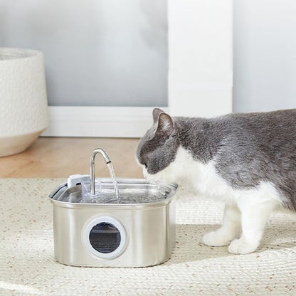 Fontaine a eau Chat