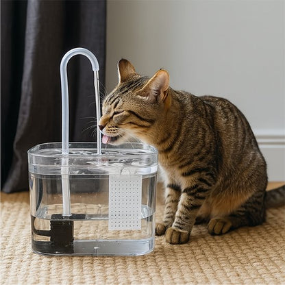 Fontaine a eau Chat