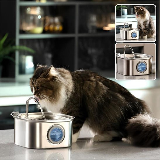 Fontaine a eau Chat