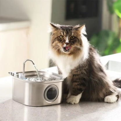 Fontaine a eau Chat