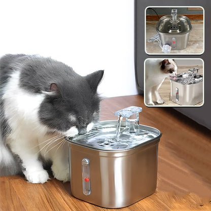 Fontaine a eau Chat