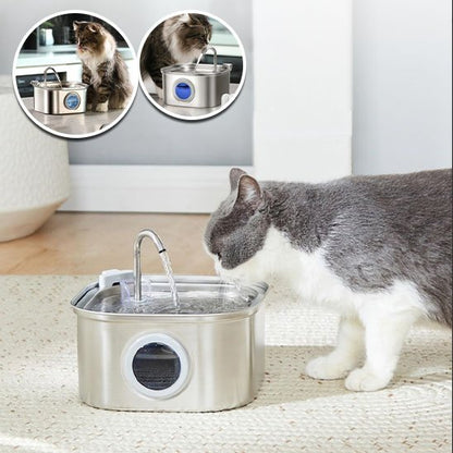 Fontaine a eau Chat