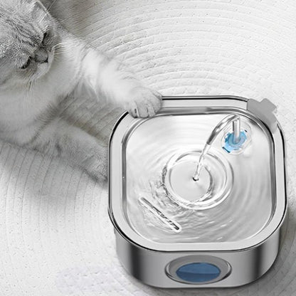 Fontaine a eau Chat