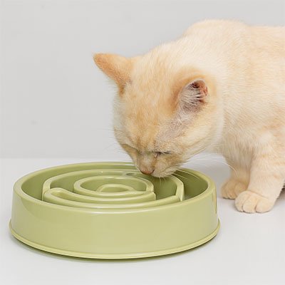 Gamelle anti glouton Chat