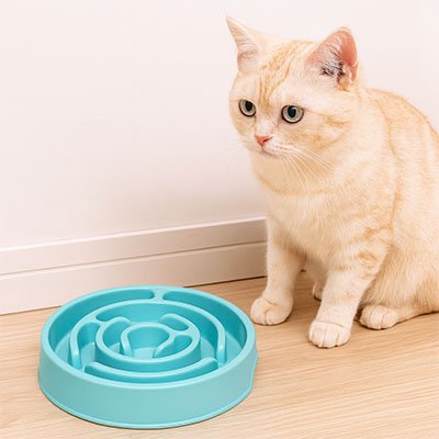 Gamelle anti glouton Chat