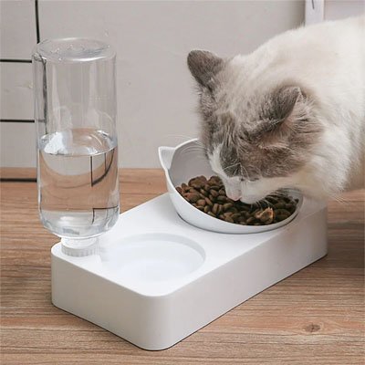 Gamelle Chat