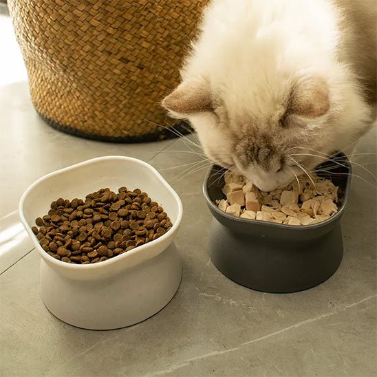 Gamelle Chat