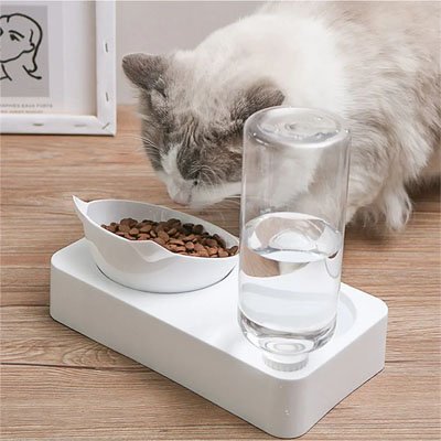 Gamelle Chat
