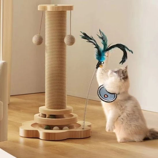 Griffoire chat