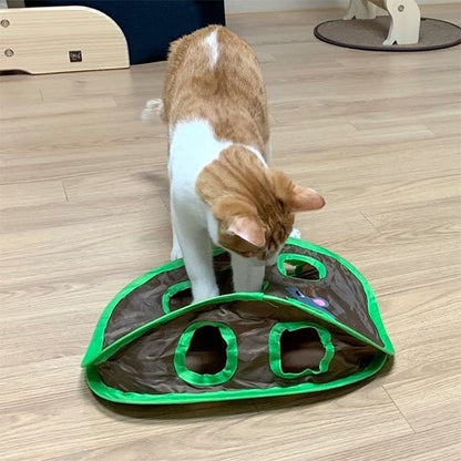Jeu Chat