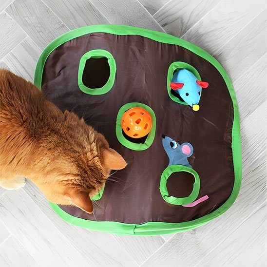 Jeu Chat