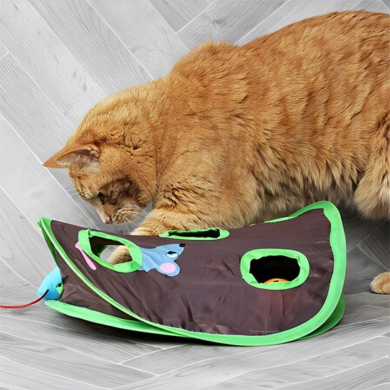 Jeu Chat