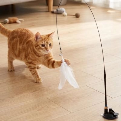 Jeu pour Chat