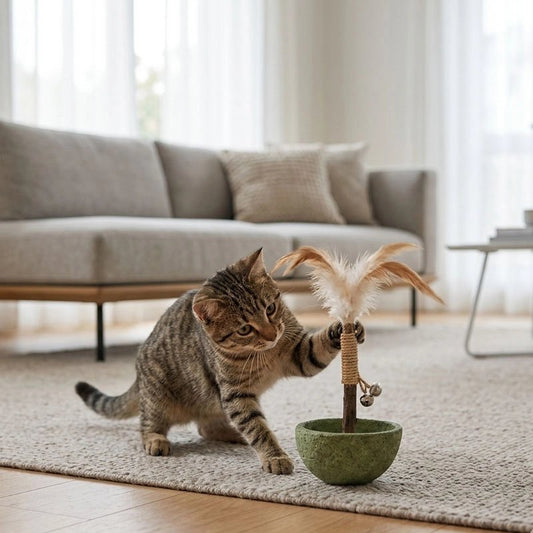 Jeux pour Chat