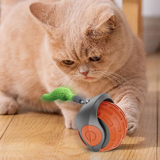Jouet Chat interactif rouge
