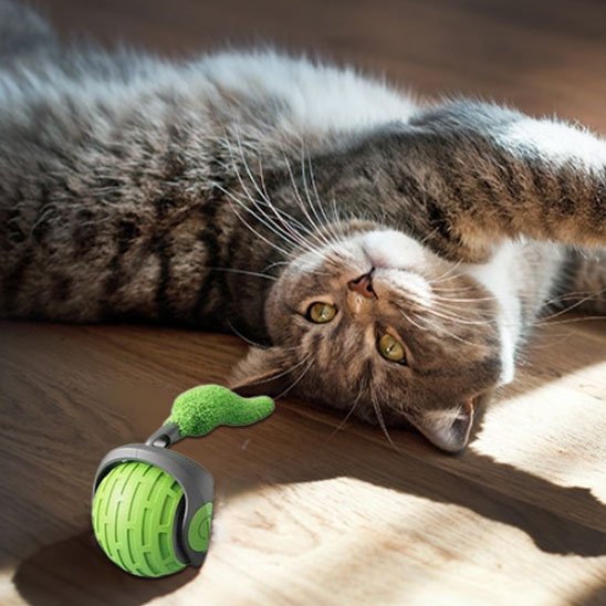 Jouet Chat interactif vert