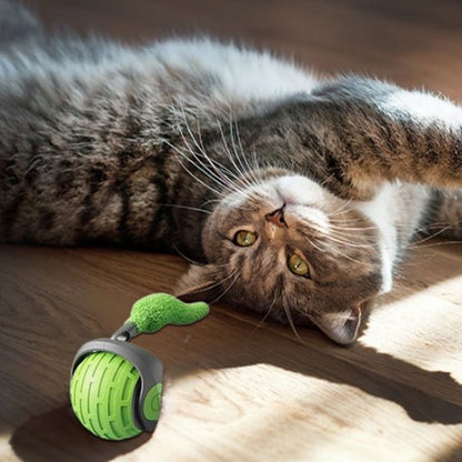 Jouet Chat interactif vert
