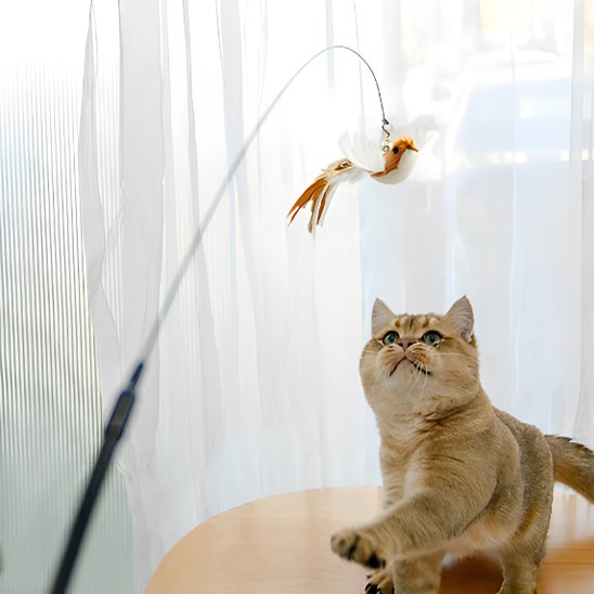 Jouet Chat interactif
