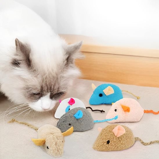 Jouet Chat