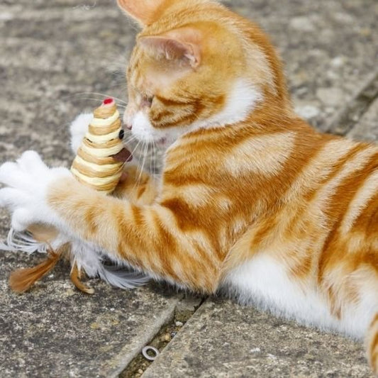 Jouet Chat