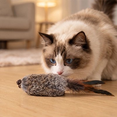 Jouet Chat
